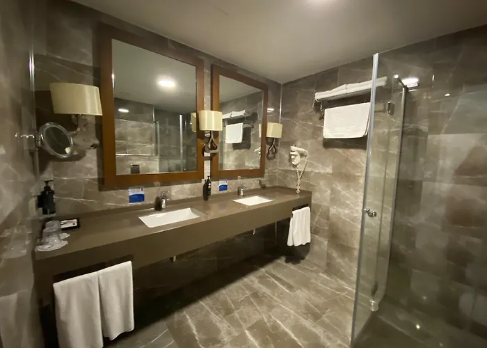 Ramada By Wyndham فندق ساكاريا